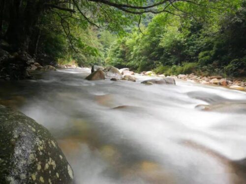 光澤是一個被霧氣與溪流環抱的地方
