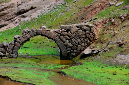 2017年，大金湖因工程需要水位大降，露出底部的古橋殘遺
