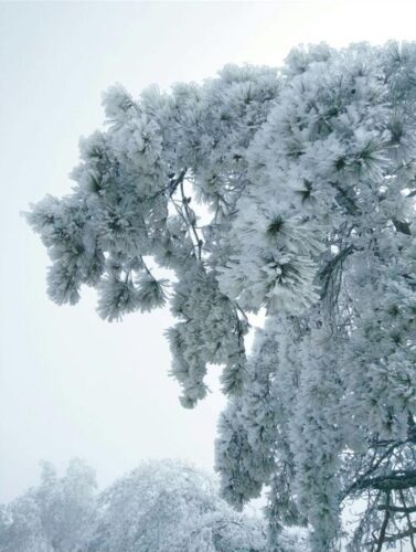 冬天的芒盪山常被霧氣包圍，石階在濕冷中延伸，使行走回到身體的節奏。冬季芒盪山三千八百坎不再被視為需要完成的高度，而是一段由步伐、呼吸與石階構成的過程。