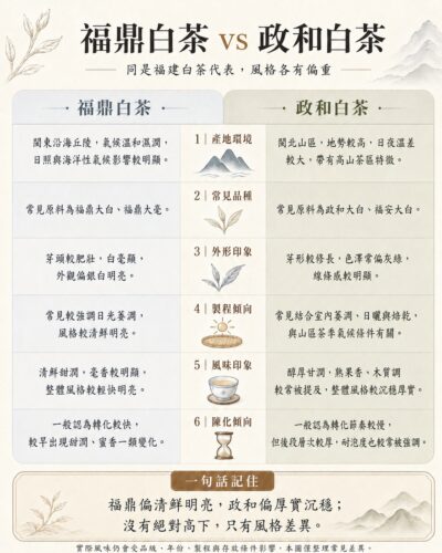 白茶在台灣不算主流，多數人認識白茶時，常會先遇到福鼎白茶與政和白茶。福鼎白茶名氣較高，常被形容為鮮爽明亮；政和白茶則帶有山區白茶的厚實與沉穩。兩者差異不在誰比較高級，而在地理、茶樹品種、萎凋習慣與地方風味不同。台灣白茶多採台灣品種搭配白茶製法製成。