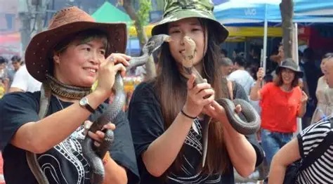 樟湖的七夕，不只牛郎織女。農曆七月初七，福建南平延平區樟湖會舉行七夕賽蛇神與崇蛇節活動。蛇王信仰從蛇王廟走向街巷，再回到廟前，神轎、香火、人群與蛇一起出現。這項民俗讓人看見樟湖如何把蛇王信仰、閩江水邊生活、地方祈願與七夕時間連在一起。